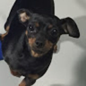 Meet your Posher, Mkc